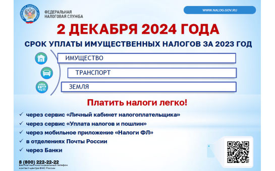 Пояснения ФНС по уплате налогов 2024